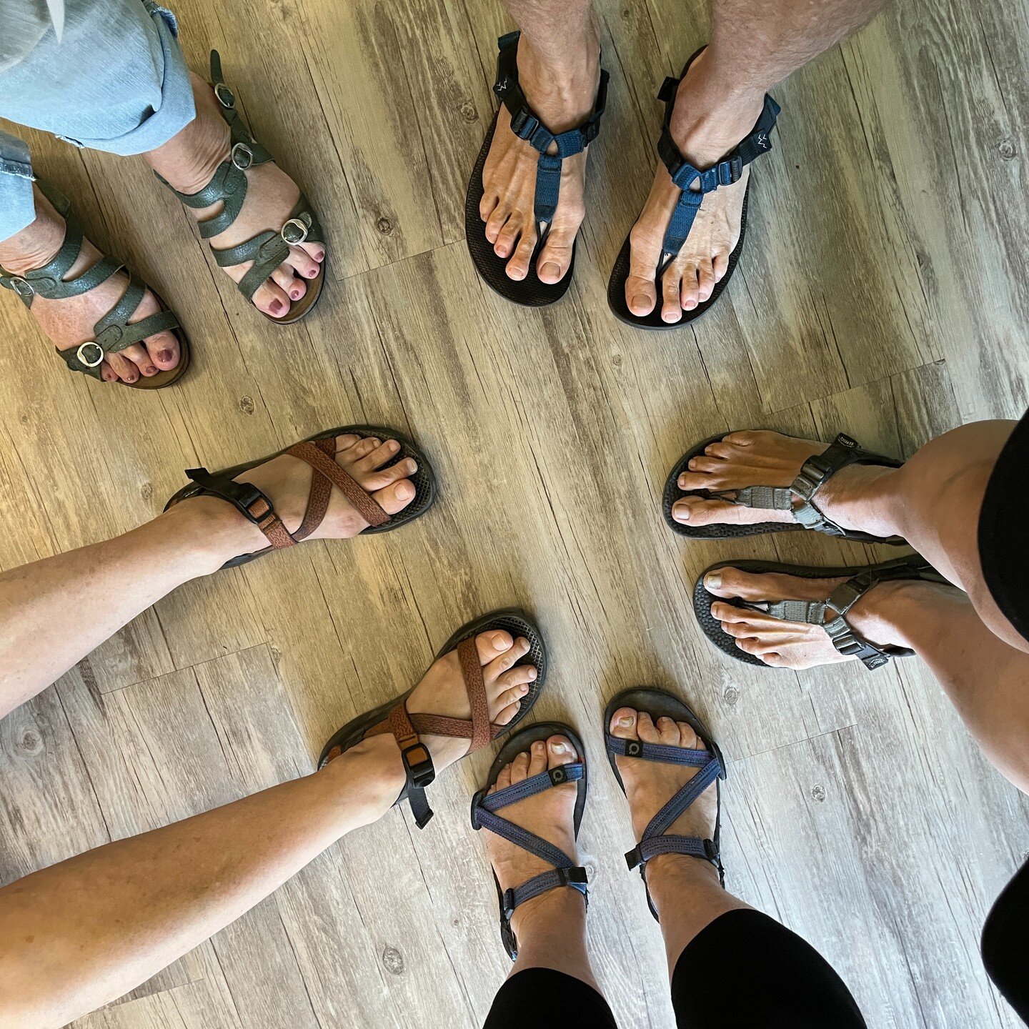 An after-class photo from the September Better Balance series.
One of our themes is building strong and mobile feet through:
✅ Barefoot time
✅ Restorative Exercises
✅ Moving safely on a variety of surfaces
✅ Testing one-legged balance
✅ Playing wit